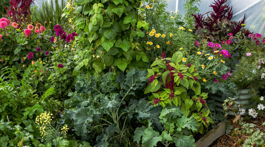 How do you control pests when you don’t use pesticides?