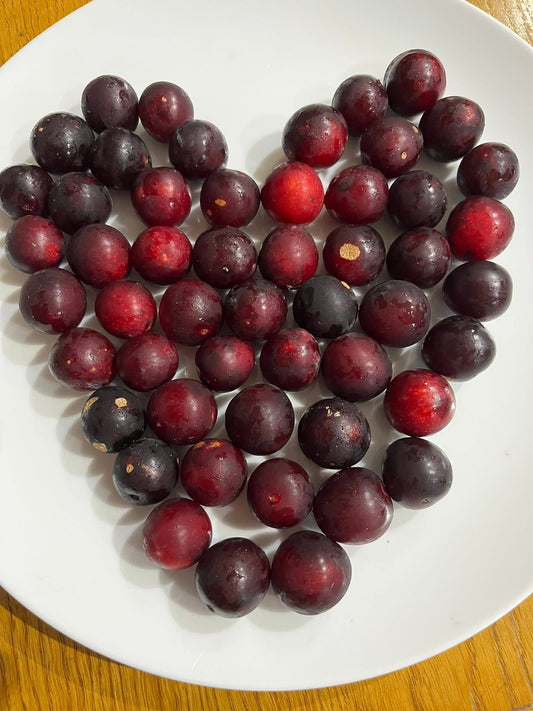 It’s never too early for plum chutney!